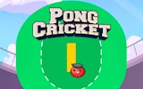 Pong Cricket - Arcade Sports Game