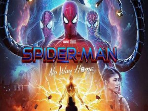 Spider Man : Multiverse Online Arcade Game
