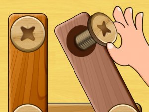 Screw Puzzle: Nuts and Bolts Game Online - Puzzle Game