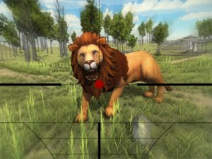 Lion Hunting 3D Online Simulation Game