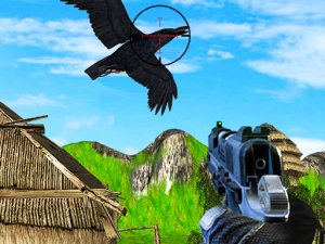 Chicken and Crow Shoot - Online Shooting Arcade Game