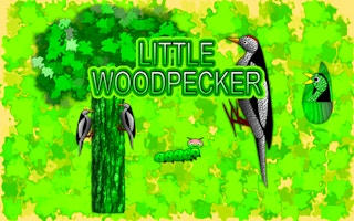 Little Woodpecker: Feeding Frenzy